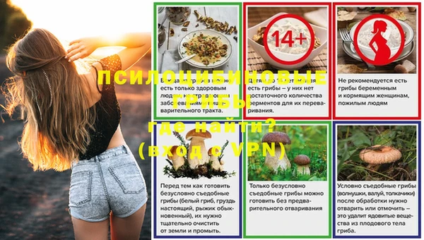 гидра Алзамай