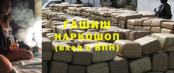 гидра Абаза
