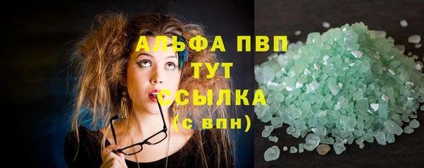 гидра Абаза