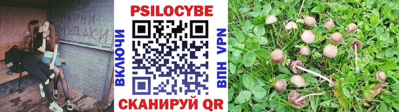 Псилоцибиновые грибы ЛСД  Зея 