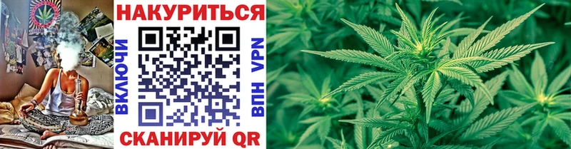 Каннабис OG Kush  Зея 